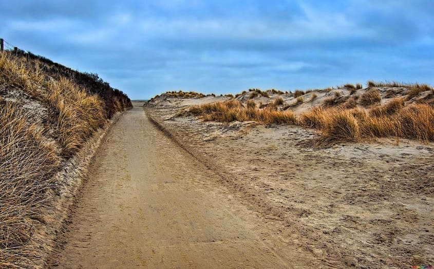 Bis zu 3P: Borkum Tagesausflug