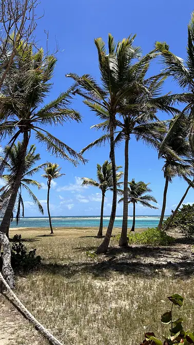 Vol à destination d’Union Island