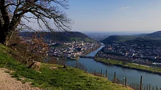 Rheingau und Rhein von oben erleben