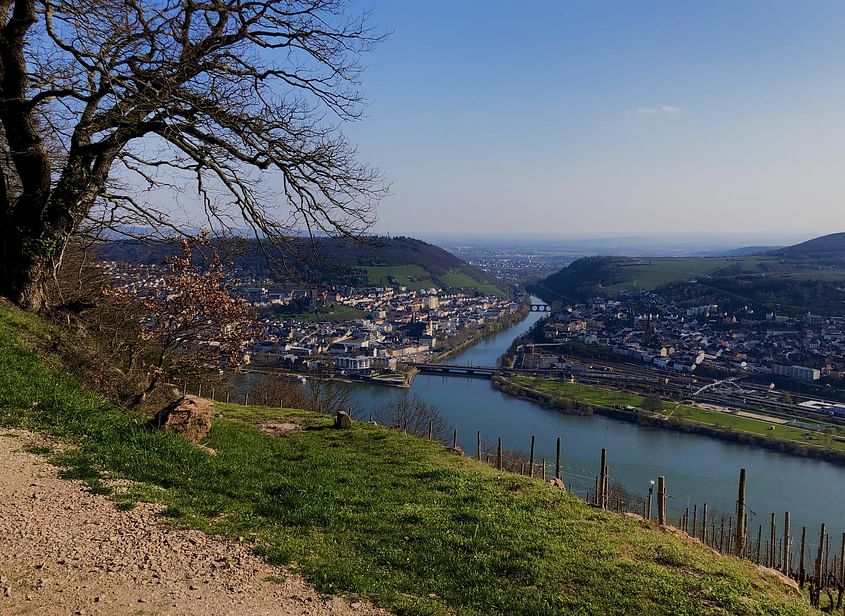 Rheingau und Rhein von Oben erleben (Mainz - Koblenz)