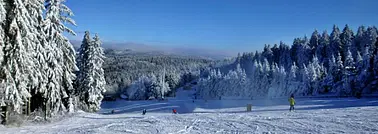 Frankfurt Rhön mit Schlitten,Bob oder Langlaufski
