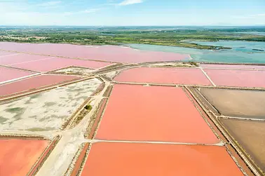 Vol Hélico - Aigues-Mortes, Salins du Midi - R44