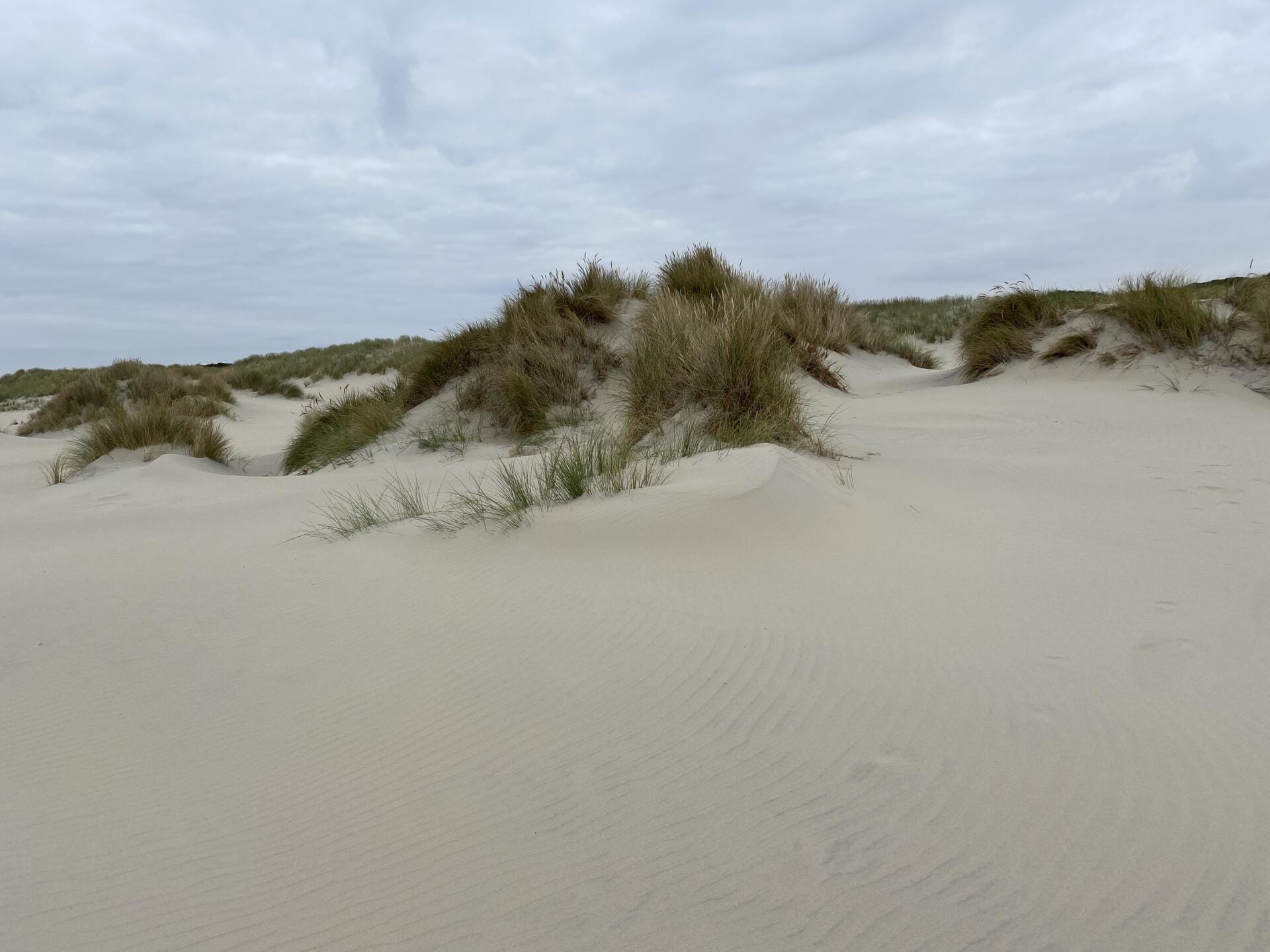 Tagesausflug nach Borkum