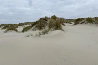 Tagesausflug nach Borkum