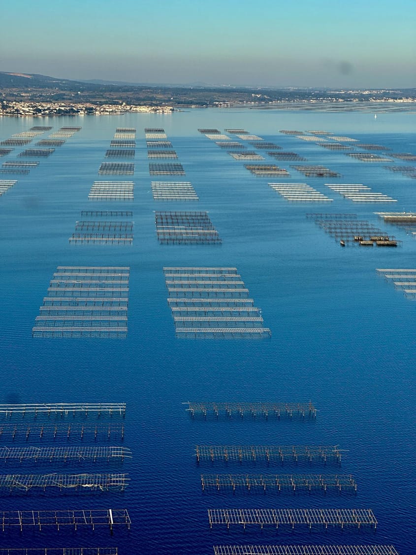 Balade entre mer et étangs