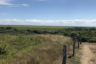 Blick über das Dünengras von Wangerooge