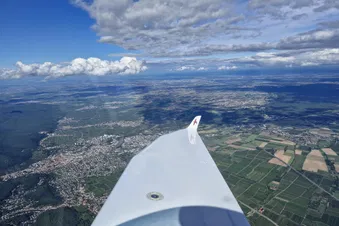 Neustadt/Weinstraße