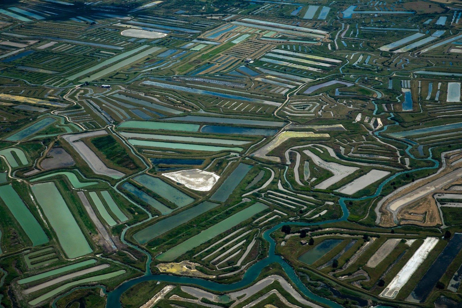 Vol d'excursion : journée à l'ile d'Oléron