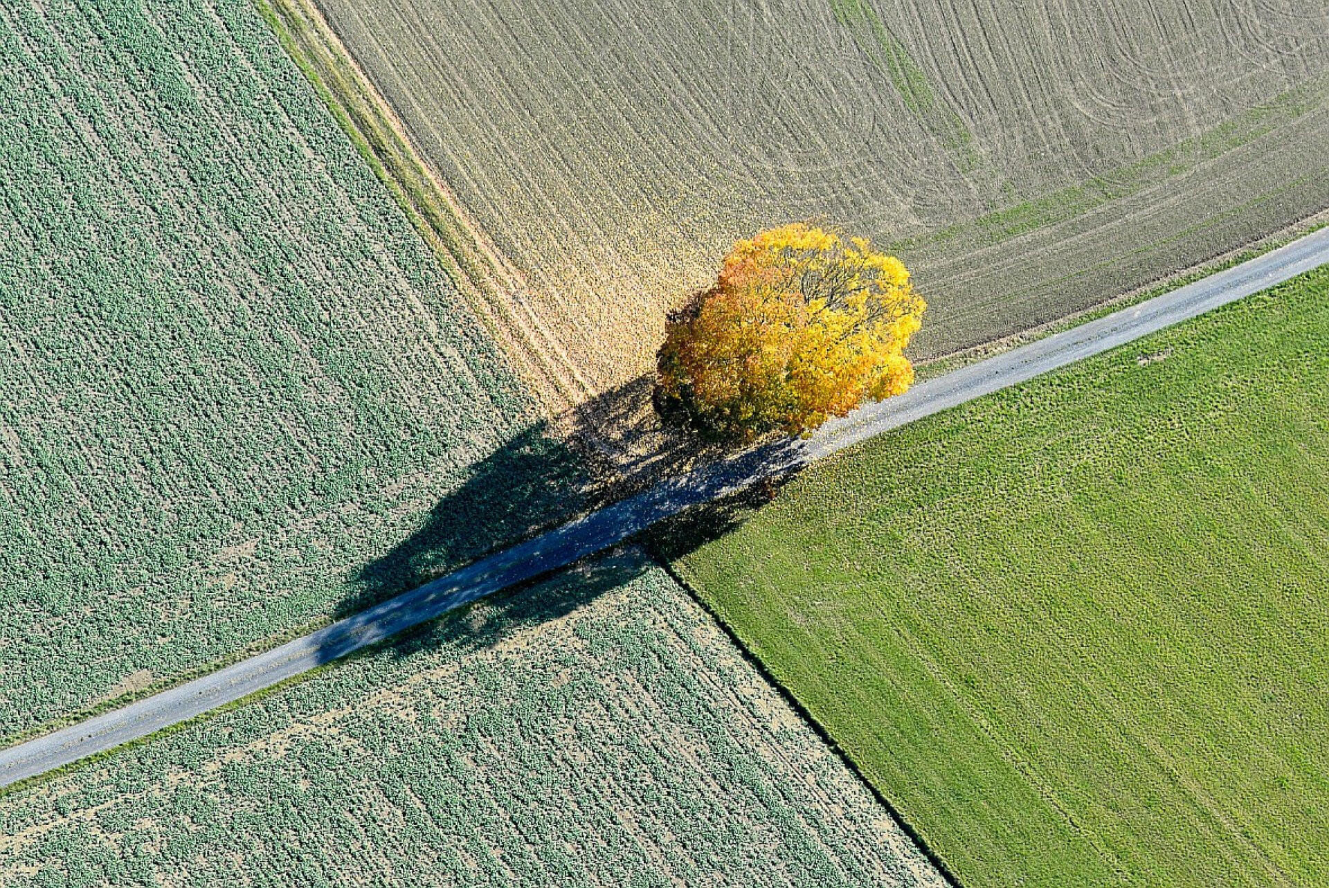 Oberpfalz Rundflug mit Blick nach Böhmen - 45 Min