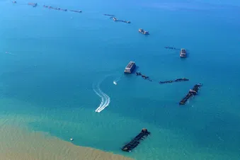 Découverte sur les endroits forts du débarquement