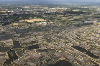 Des Salines de Guérande au Golfe du Morbihan