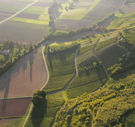 Südliche Burgenlandtour im Helikopter (2-3 Passagiere)