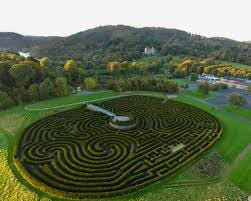 Castlewellan Maze