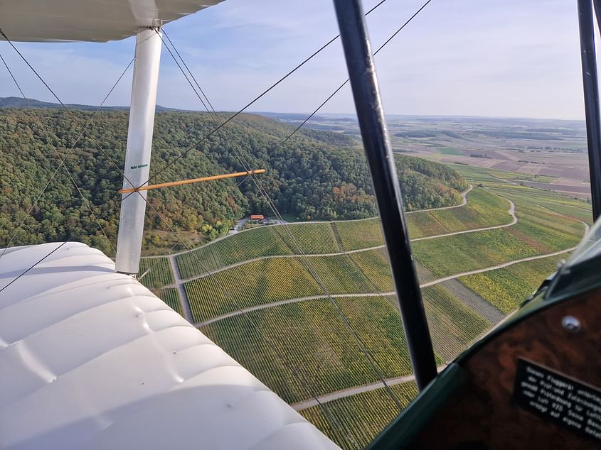 Die Weinberge aus dem Doppeldecker sehen!