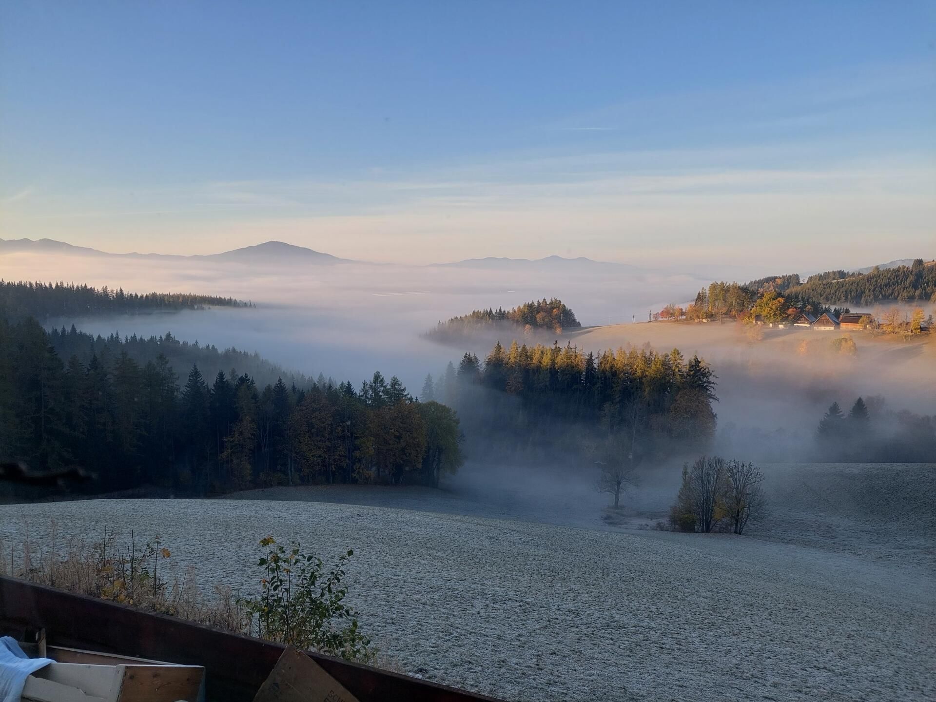 Gourmetflug zum Schwammerlwirt – Alpengasthof Pölzl