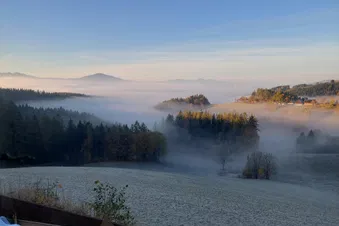 Gourmetflug zum Schwammerlwirt – Alpengasthof Pölzl