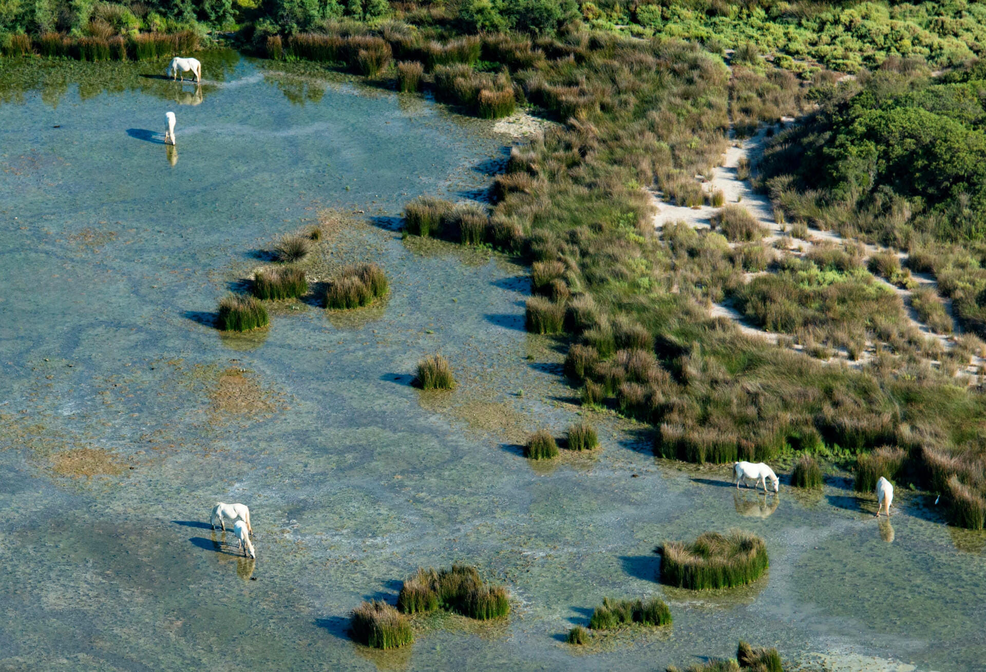 Survol Grande Motte, Littoral Camargue en hélico