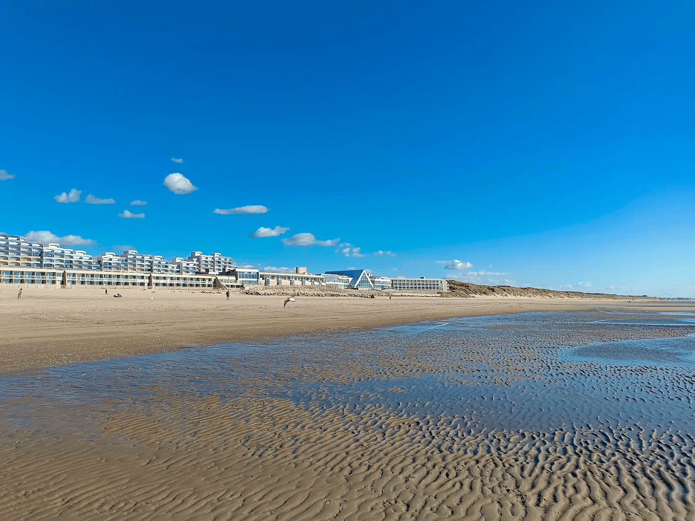 Escapade aérienne au Touquet – Une journée entre ciel et mer