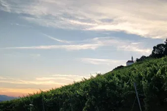 Pitstop in Slovenia (wine gardens)