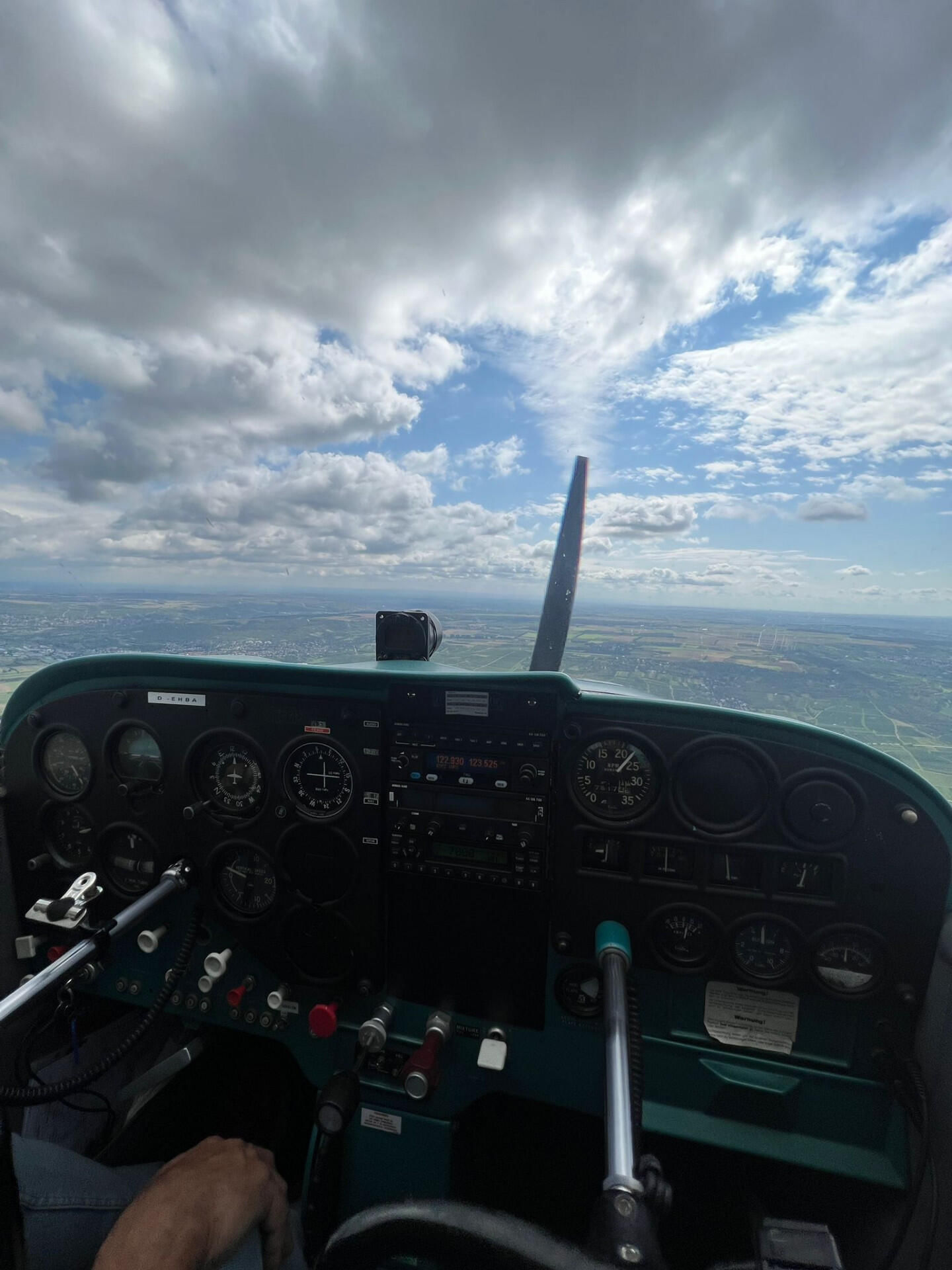 Rüdesheim und die schönsten burgen am Rhein