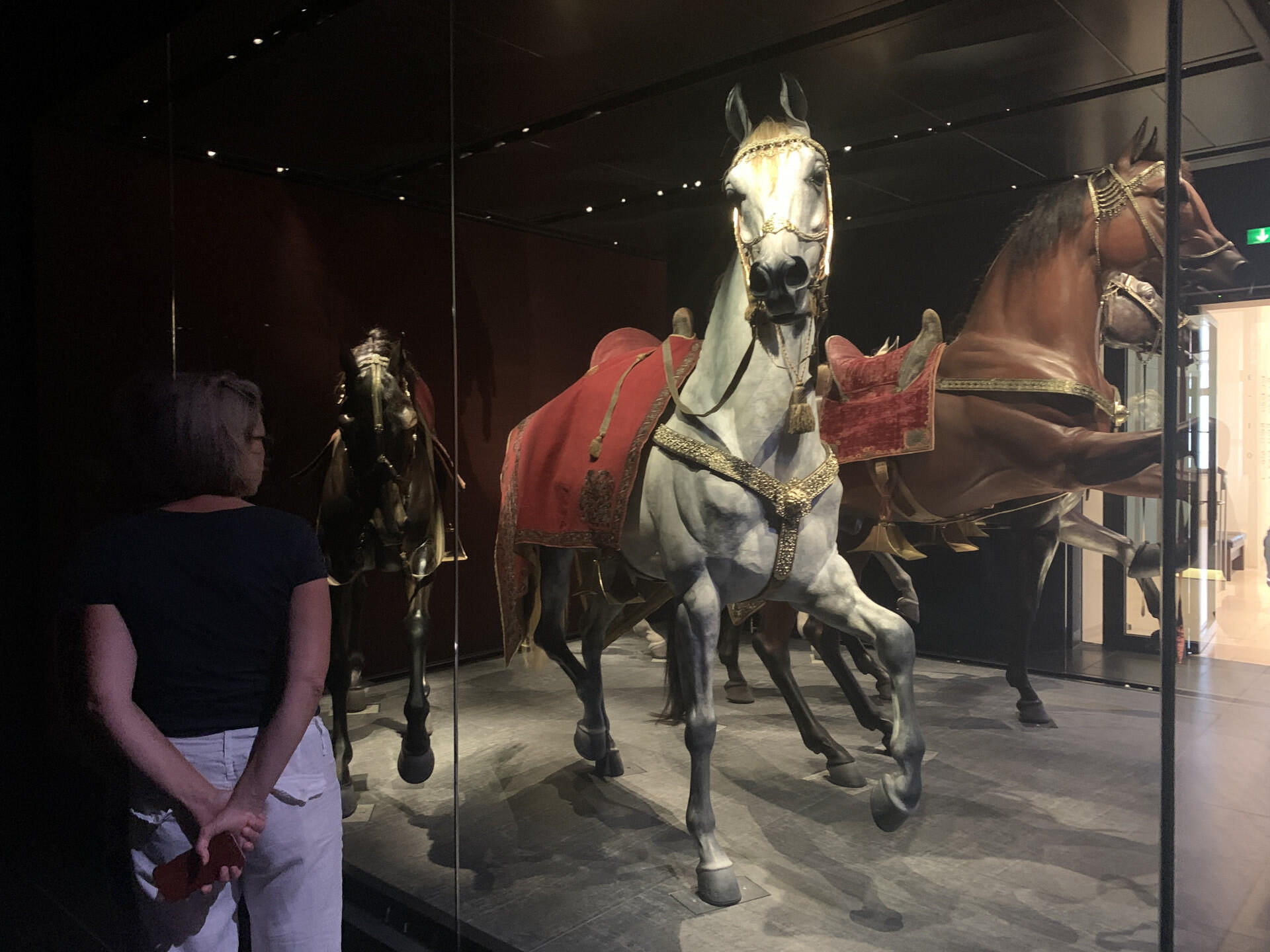 Tagesausflug nach Dresden (min. 2 PAX)