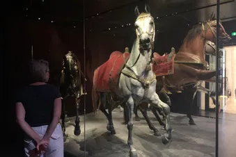 Tagesausflug nach Dresden (min. 2 PAX)