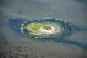 Survol littoral de Camargue, Stes-Maries-de-la-Mer (hélico)
