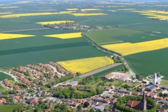 Nur kurze Zeit - Rapsfelder von oben aus sehen (RAD)