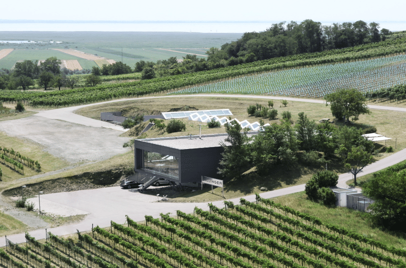Gourmetflug zum Weingut Hillinger (inkl. Verköstigung)