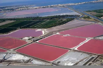 Objectif Hélico Aigues-Mortes depuis Candillargues