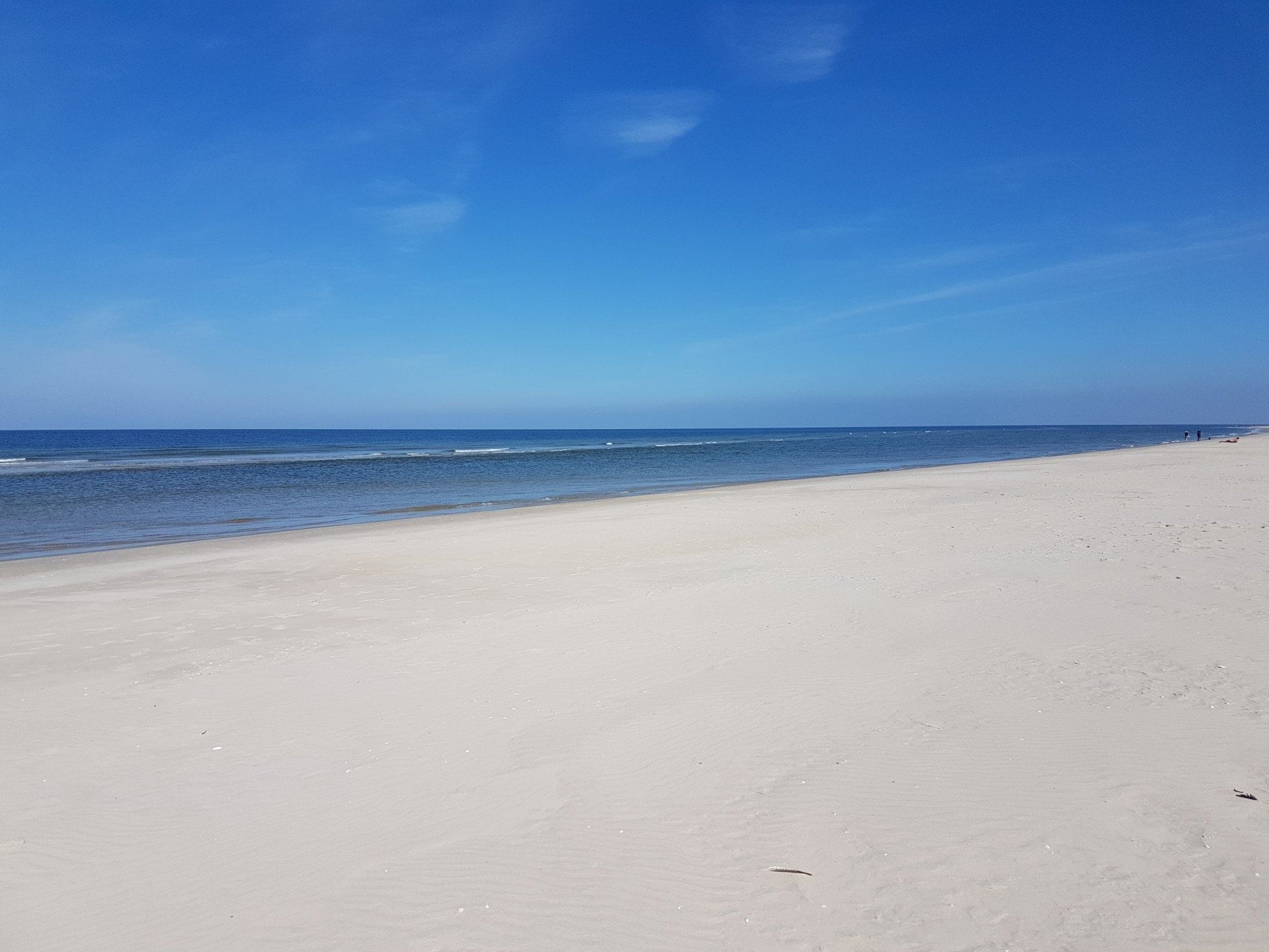 Tagesausflug Ostfriesische Inseln