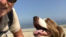 Am Strand - auch mit Hund möglich.