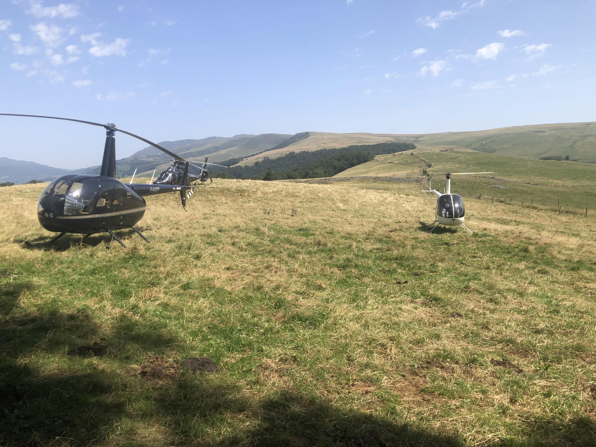A proximité d'un buron dans le massif central.