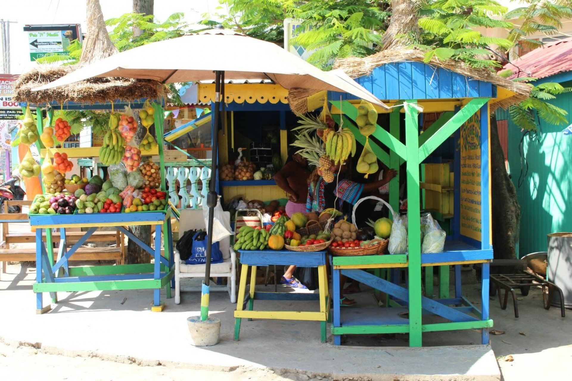 Excursion à Union /A round trip to Union Island