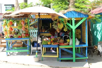 Excursion à Union /A round trip to Union Island