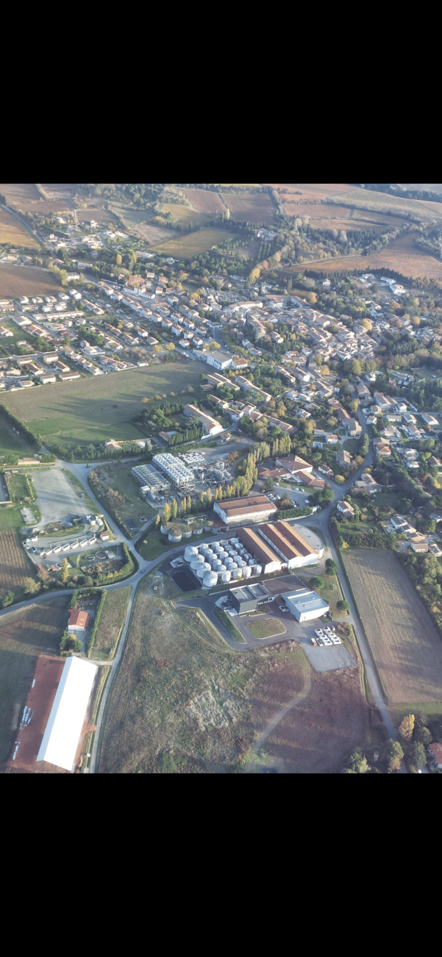 Cave coopérative Anne de Joyeuse à Limoux