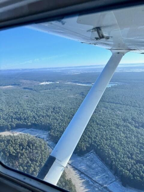 Ausflug zum Großen Feldberg - Blick auf die Skyline