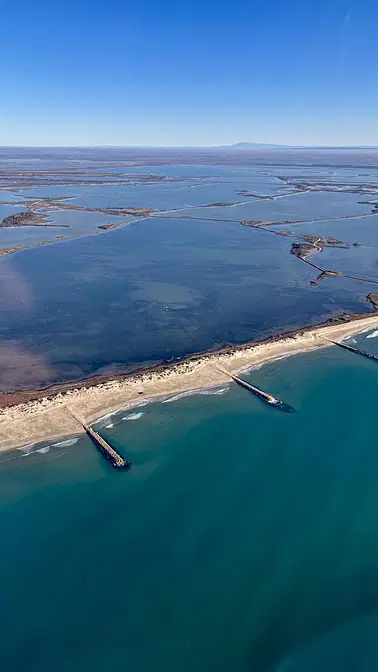 Balade aérienne à la découverte de la Camargue🦩