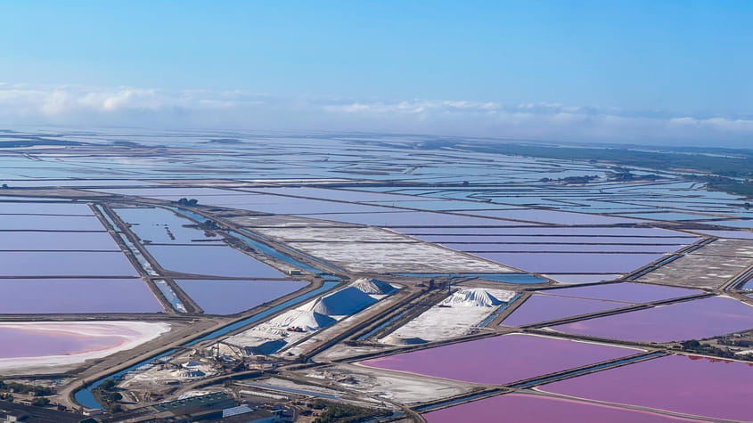 Balade aérienne à la découverte de la Camargue