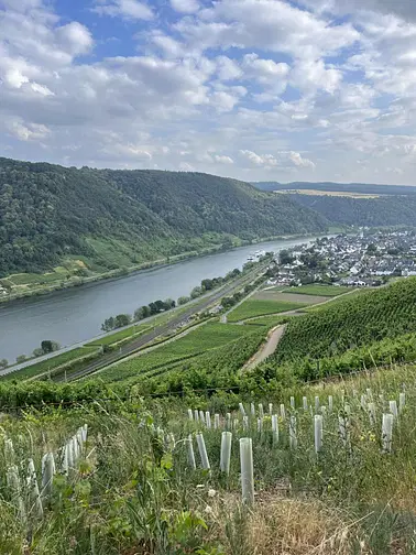 Entspannter Ausflug in die Weinberge