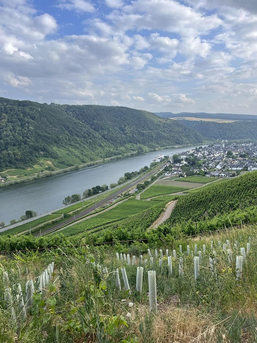 Entspannter Ausflug in die Weinberge