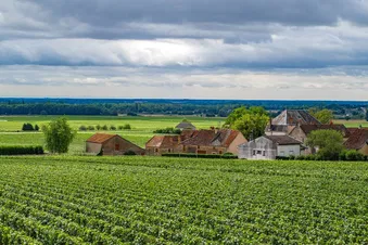Découverte de la Bourgogne depuis le ciel