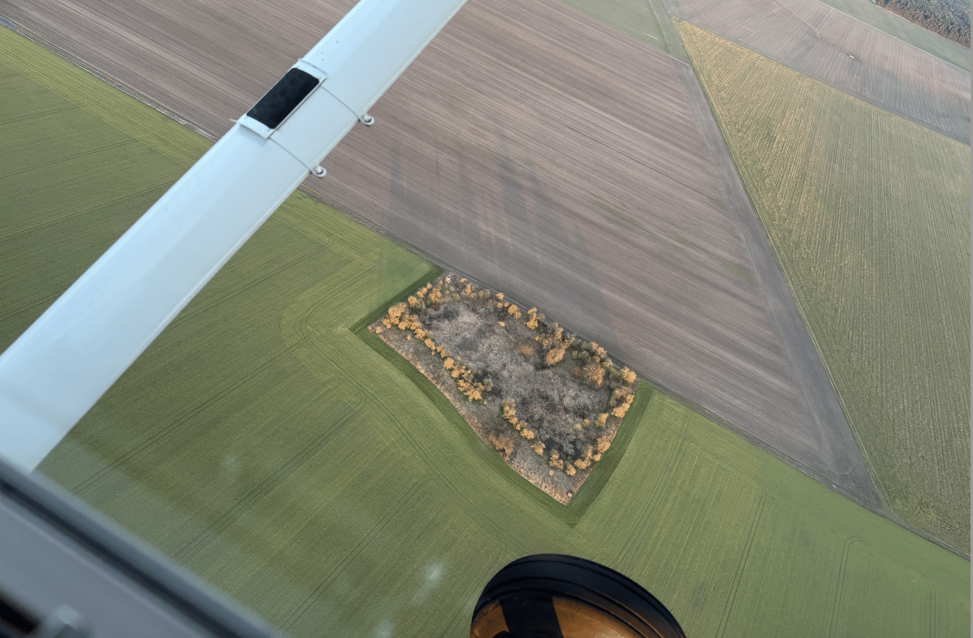 Blick aus dem Fenster