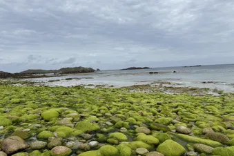 Even moody weather is enjoyable