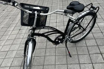 Vélos disponible en location