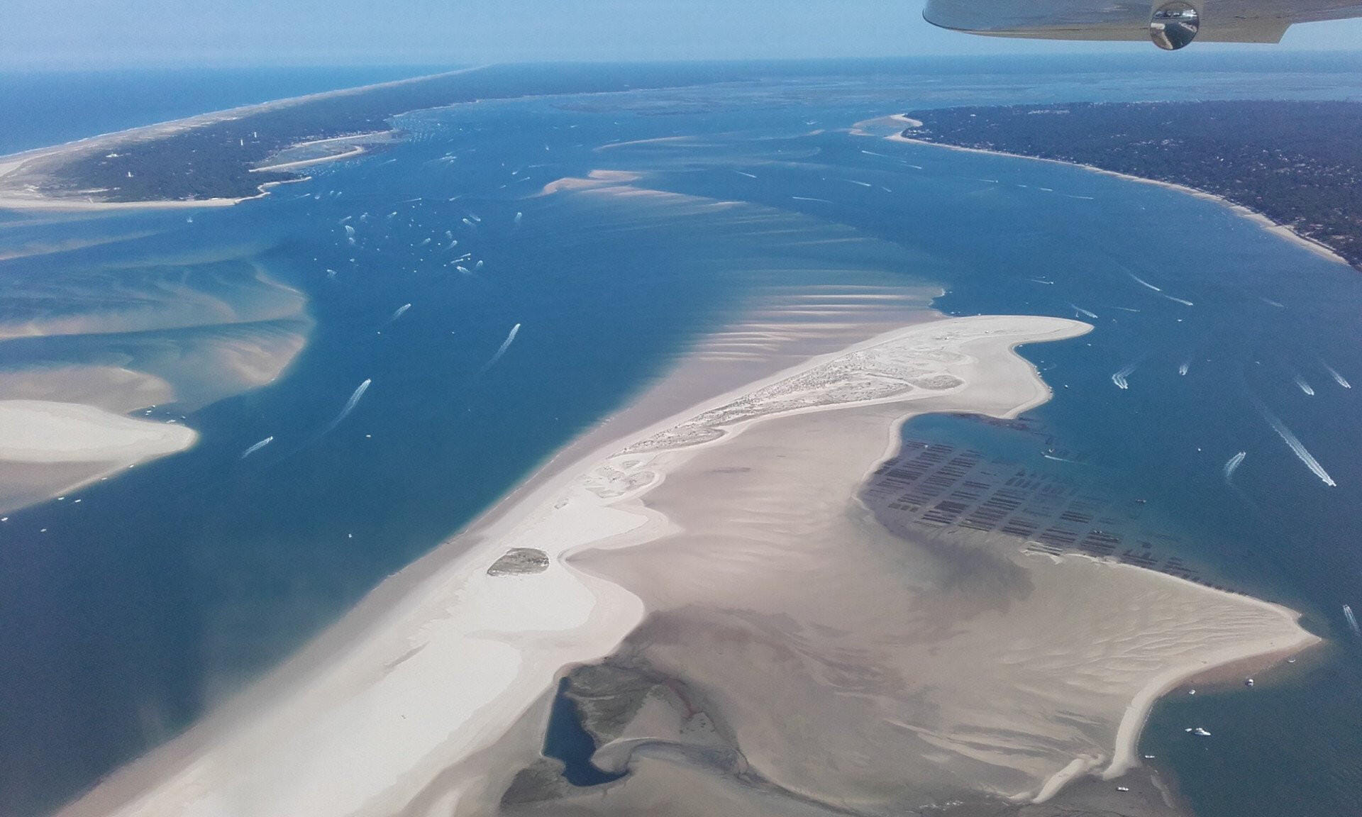 ARCACHON, LE BANC D'ARGUIN