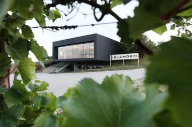 Gourmetflug zum Weingut Hillinger (inkl. Verköstigung)