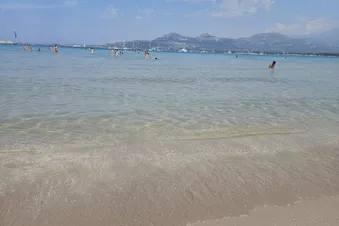 Corse : Journée à Calvi