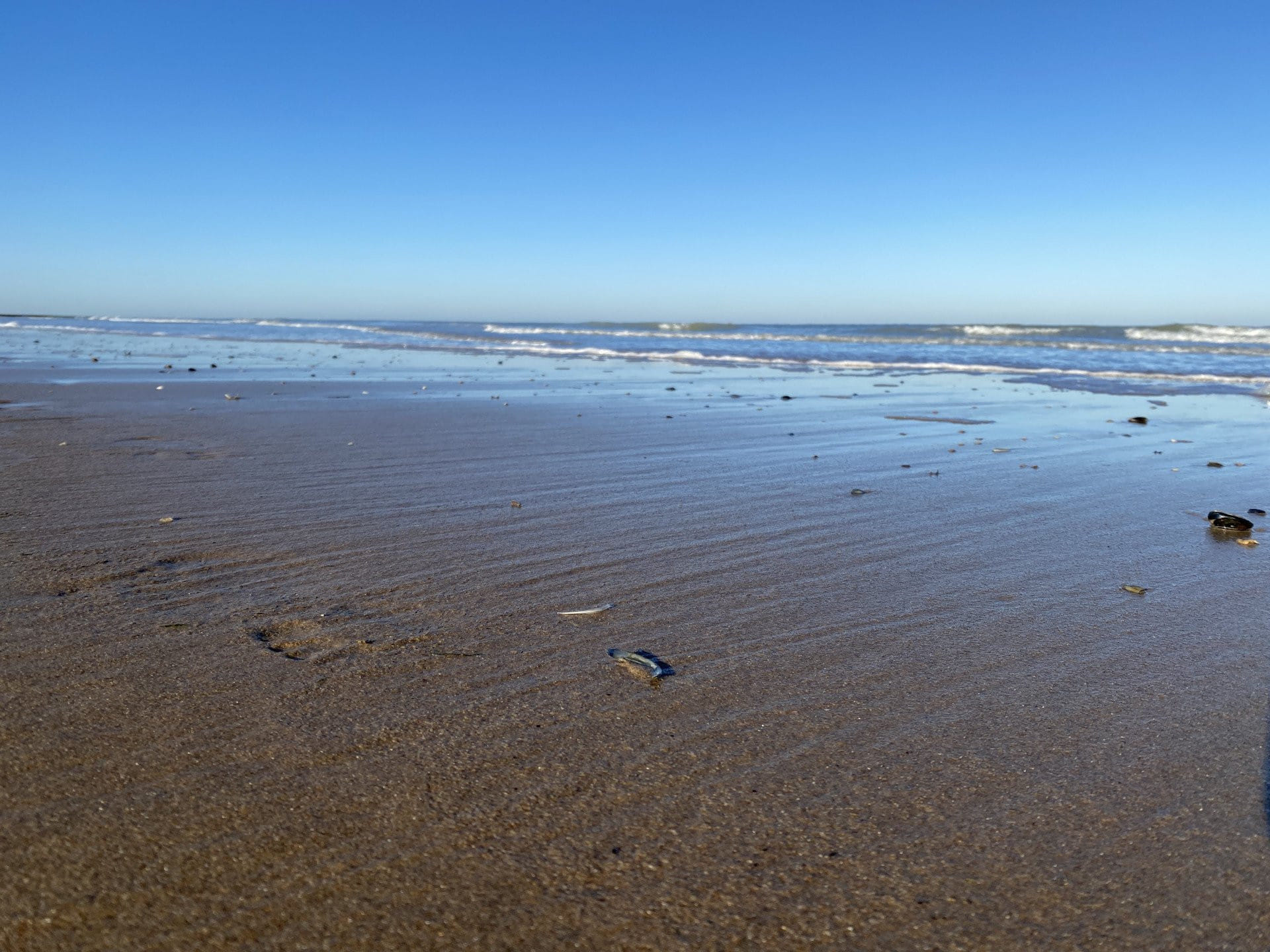 Tag am Meer, Brügge + Ostende ab Zweibrücken