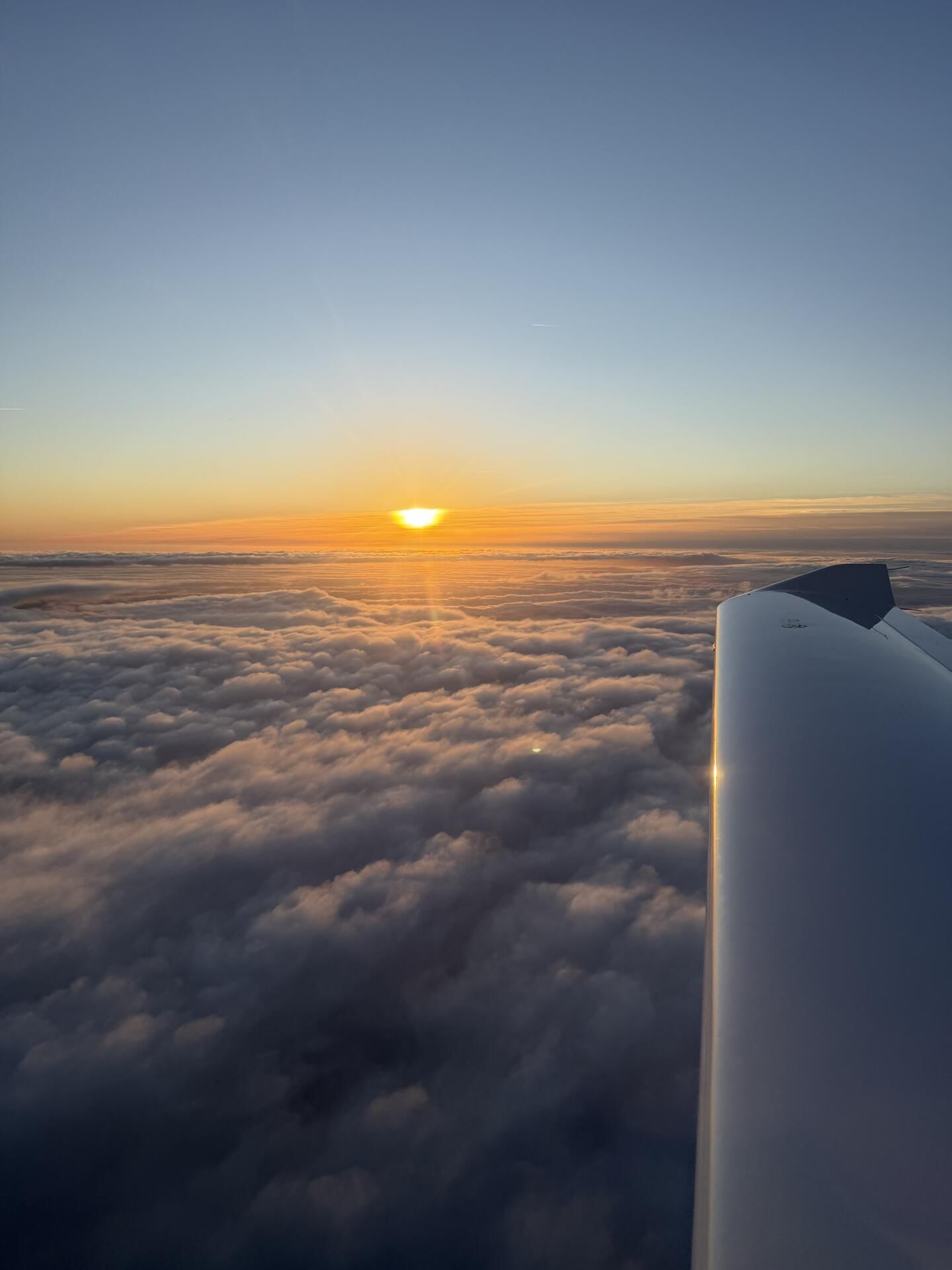 Visite de Reims et des vignobles Champenois